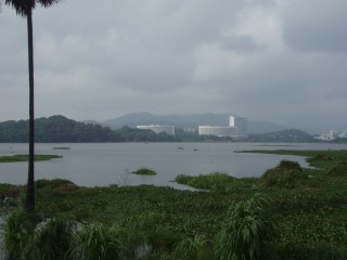 Master Soon shows Water Dragon of Mumbai Renaissance Hotel 