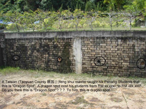 Dragon spot by Taiwan Master . Is it true ?