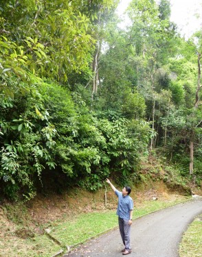 On 6th Jan 2011, took a retreat after monthly long tight schedule. Took A Natural RainForest Spa..... 