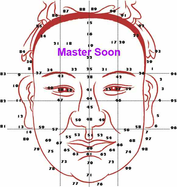 Face Reading With Master Soon(1) The numbers show the running age of  a person . 孙老师面相学（一） 这是面相流年图.