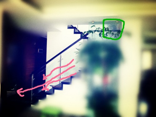 Master Soon @ Shanghai Feng Shui @ June 2013