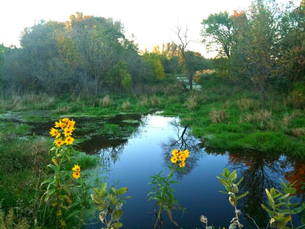 a_swampy_area_at_fall__s_sunset_by_lilmegz97-d300ya5