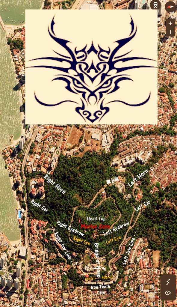 Pearl Hill Dragon Spot by Master Soon 2020