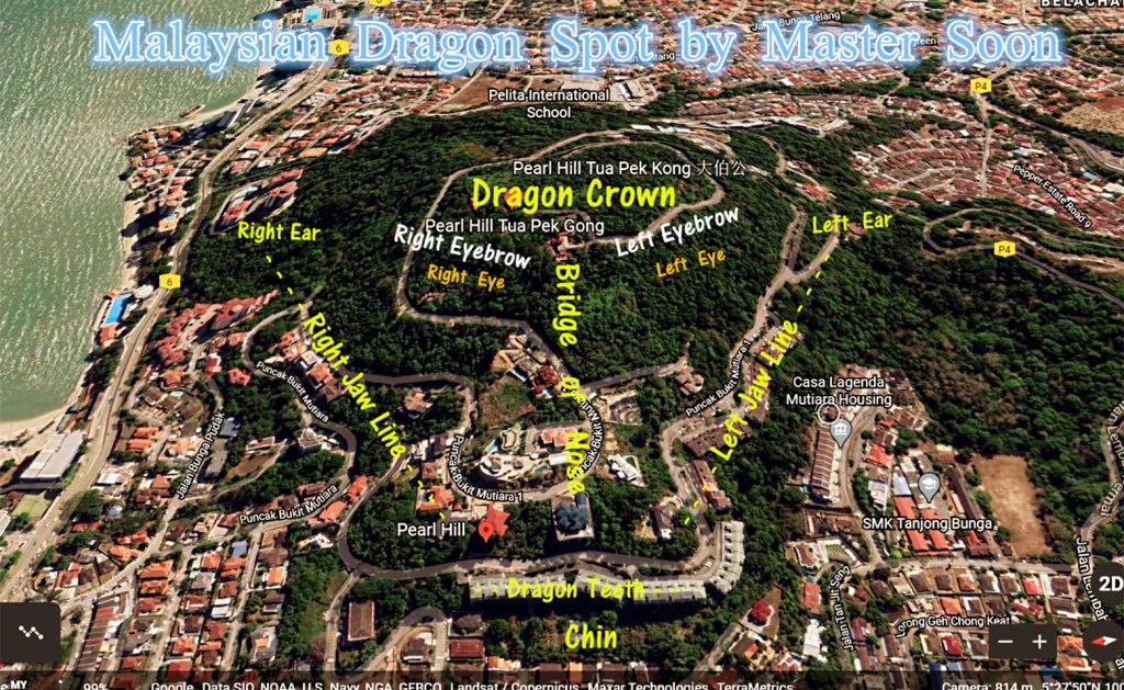 Real Dragon Feng Shui 真龙 Master Soon