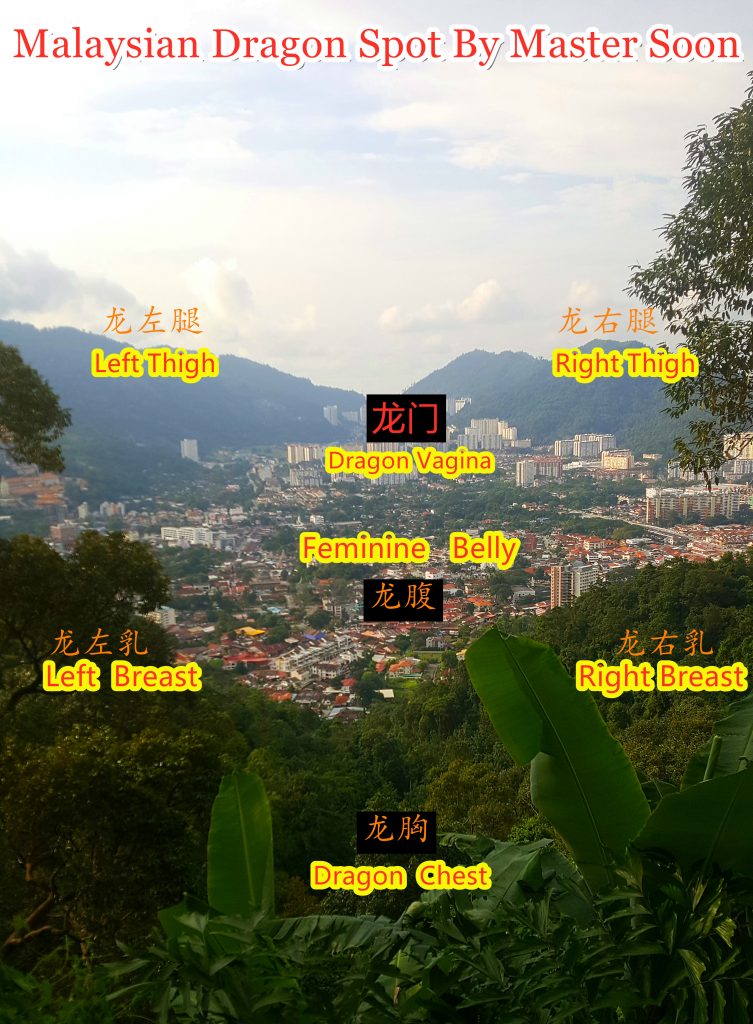 Malaysian Dragon - Female Body Shape