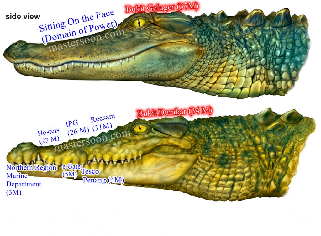 Malaysia Penang Bridge Crocodile Feng Shui