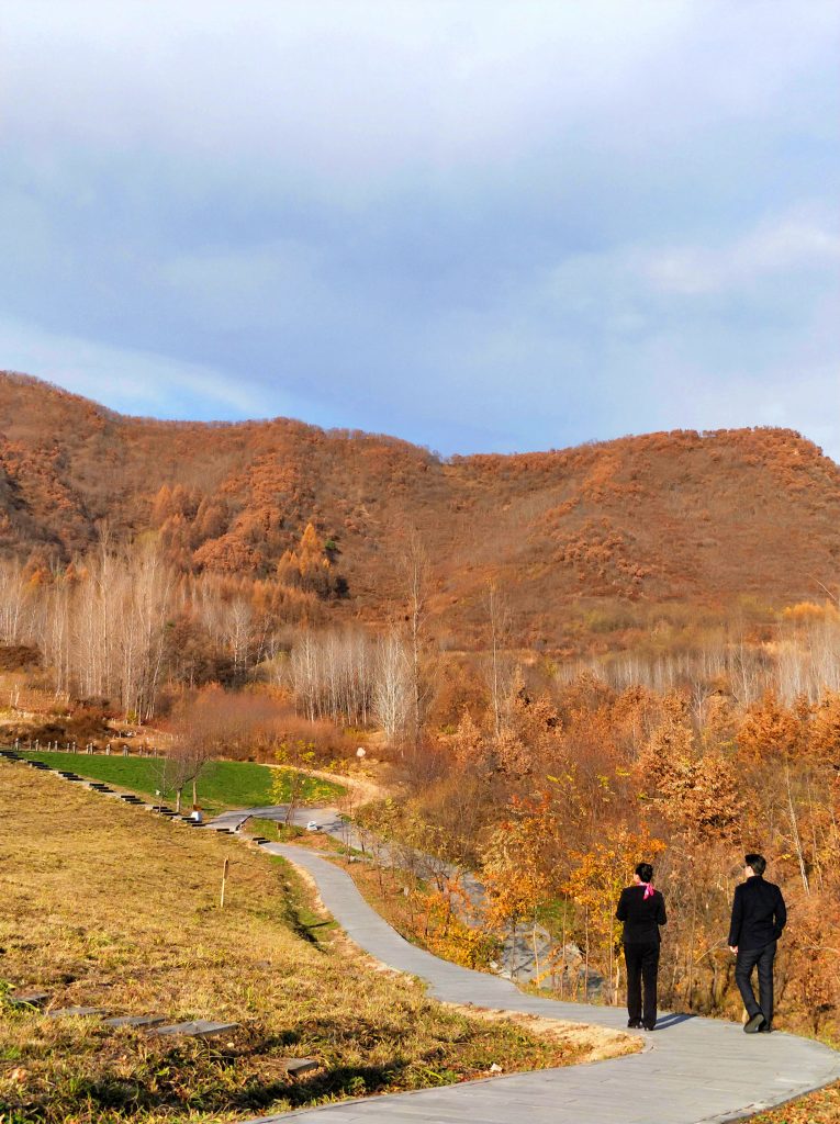 Malaysia Feng Shui Master Soon